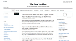 Desktop Screenshot of newyorkian.com
